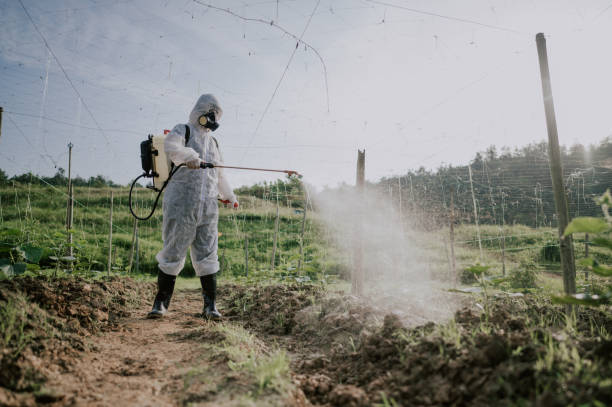 Best Commercial Pest Control Services  in Claremont, CA