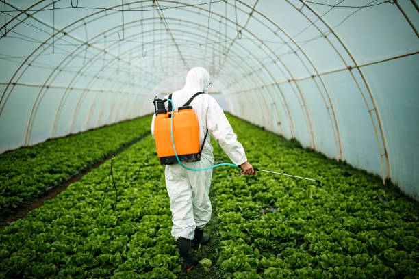 Best Best Pest Control Companies  in Claremont, CA