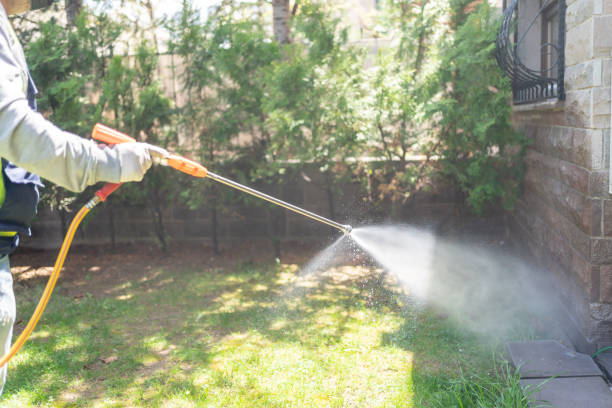 Professional Pest Control in Claremont, CA