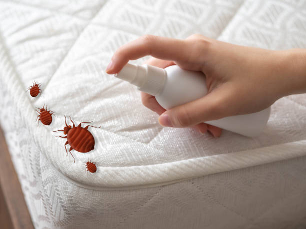 Best Commercial Pest Control Services  in Claremont, CA