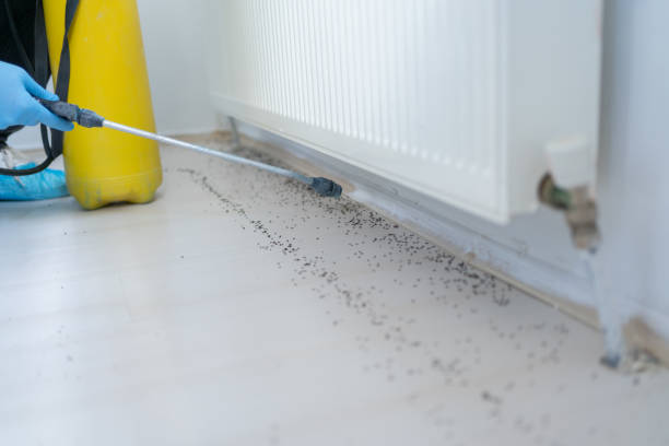 Best Pest Removal Services  in Claremont, CA