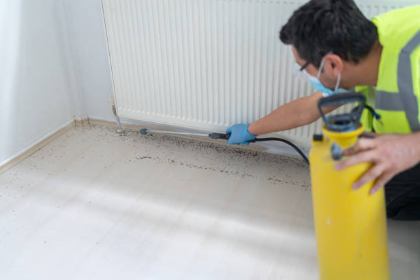 Best Mosquito Control Services  in Claremont, CA